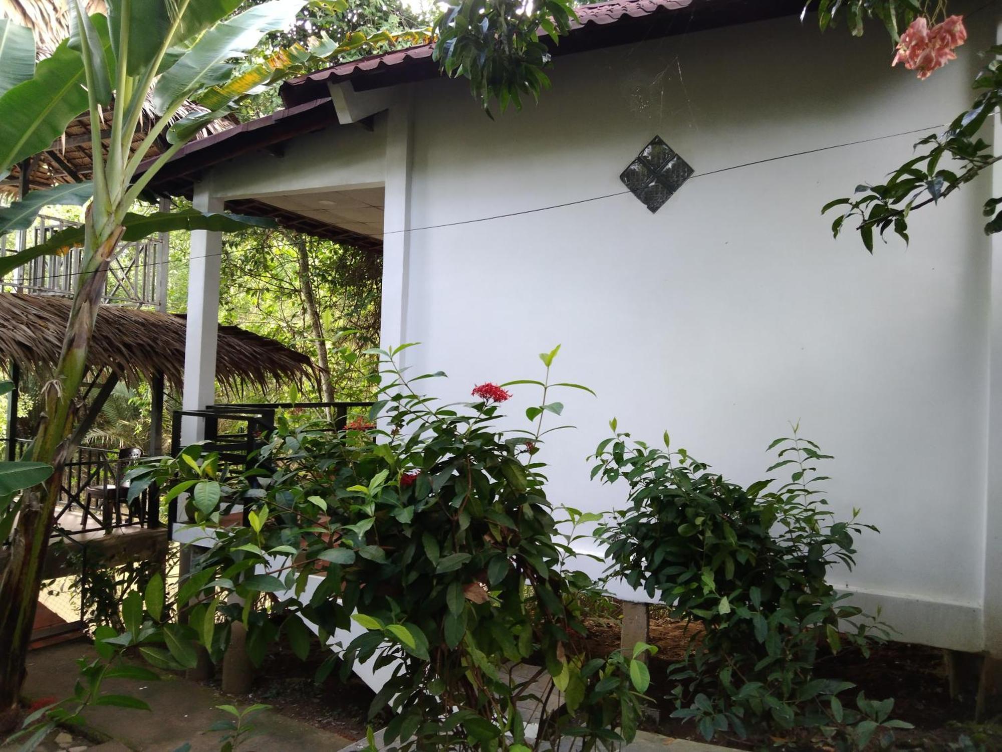 Quoc Phuong Riverside Homestay ベンチェ エクステリア 写真
