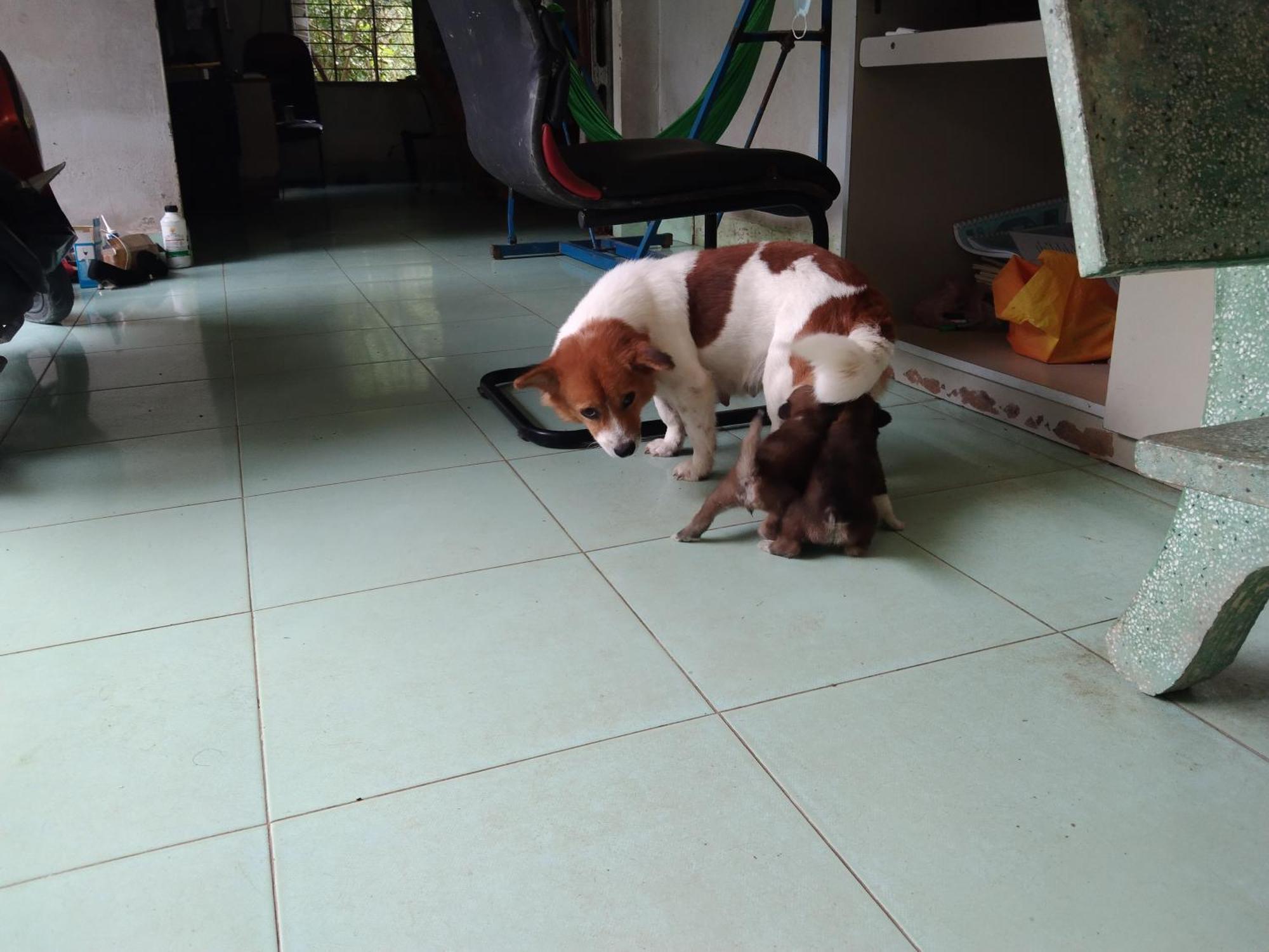 Quoc Phuong Riverside Homestay ベンチェ エクステリア 写真
