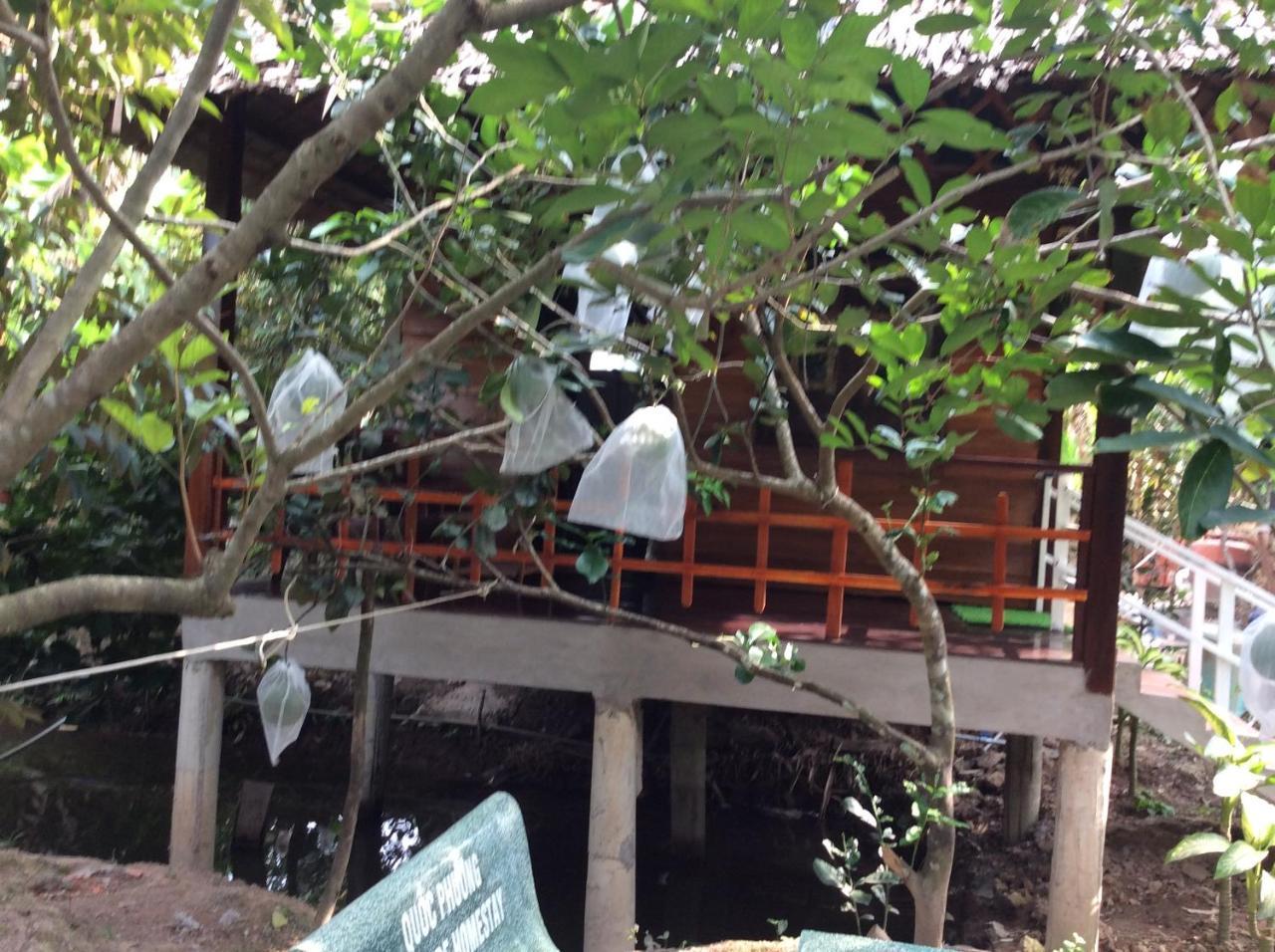 Quoc Phuong Riverside Homestay ベンチェ エクステリア 写真